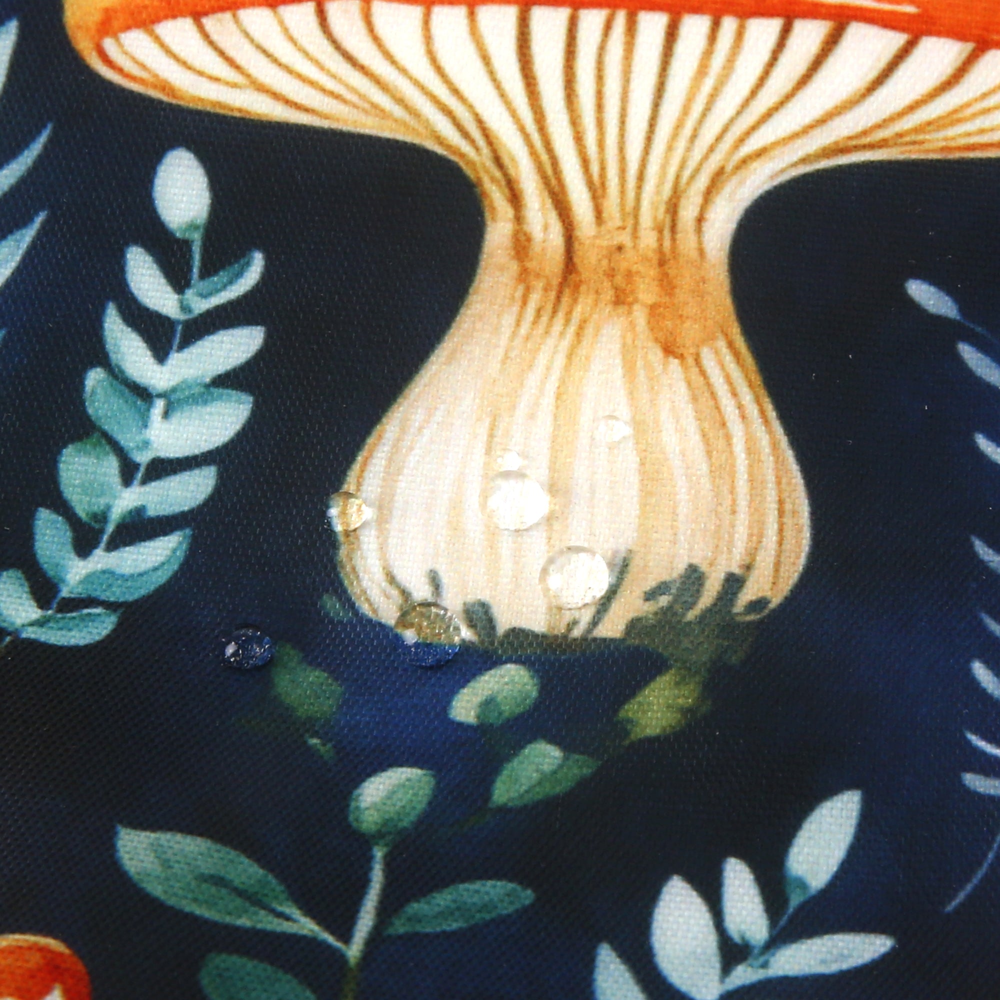 A110BK - Eco Chic Lightweight Foldable Reusable Shopping Bag Toadstool Black (Pack of 2)