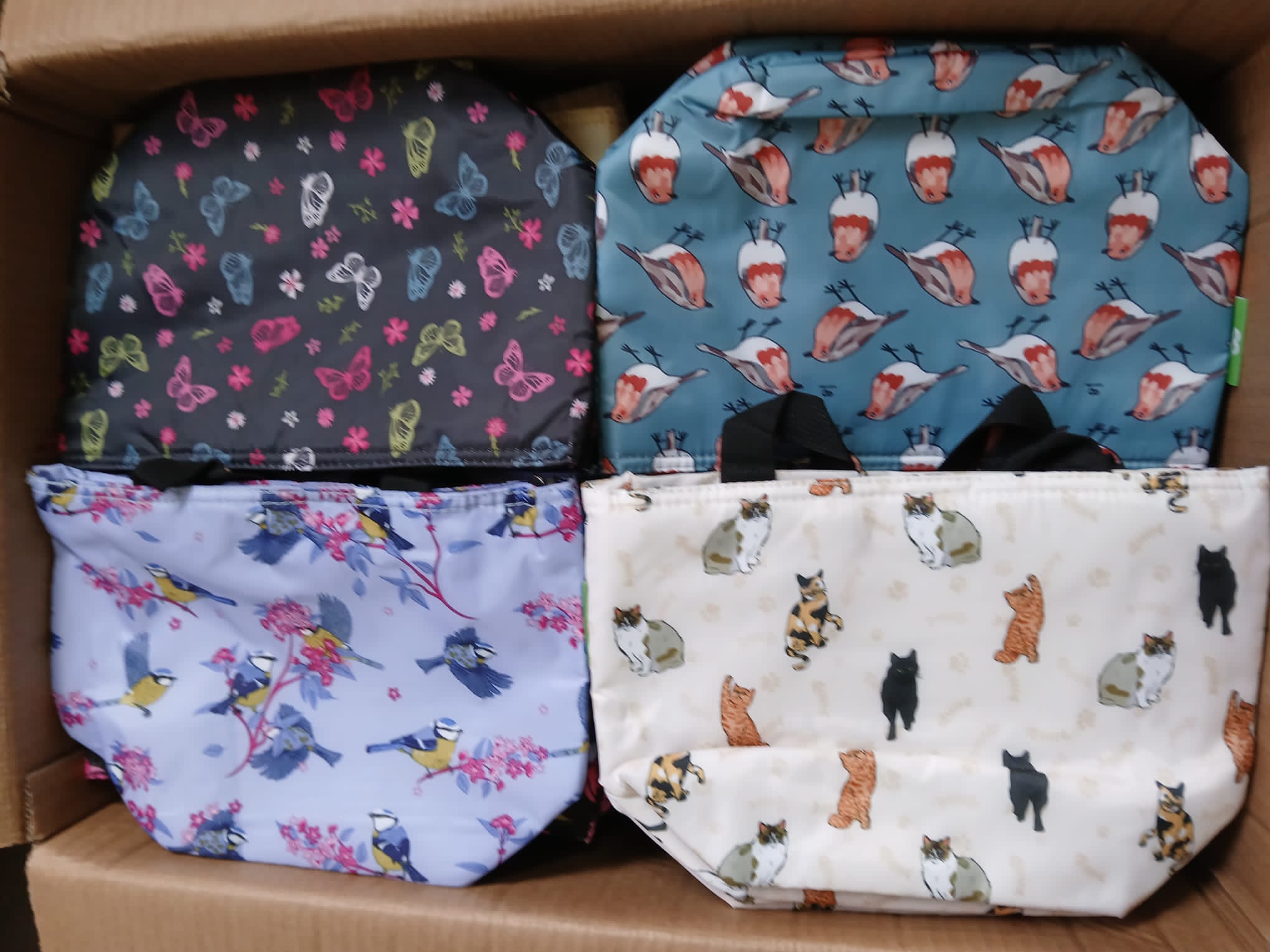 Eco Chic Assorted Lunch Bags x 72