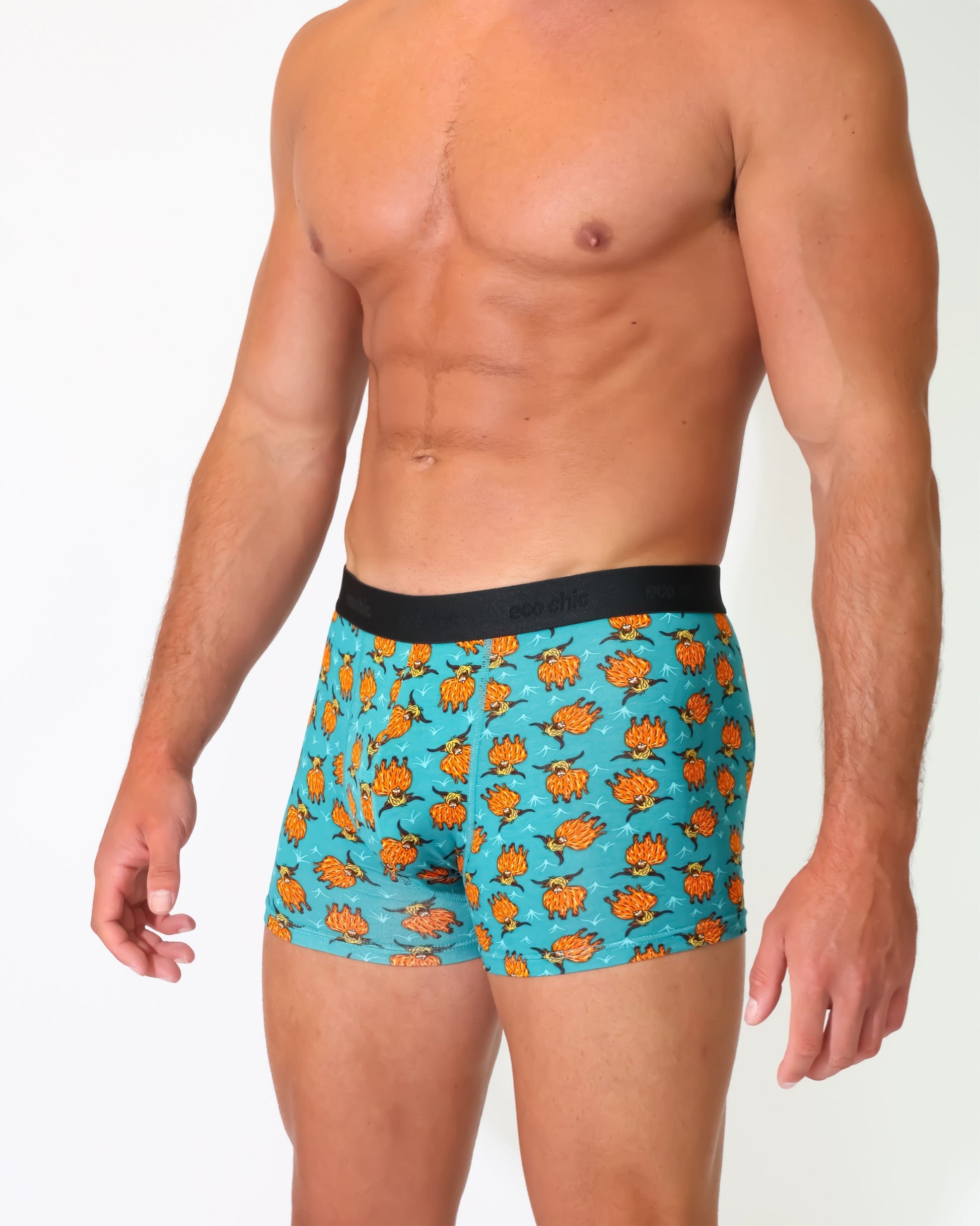 Eco Chic Retail Ltd Eco-Chic Eco Friendly Men's Bamboo Boxers Highland Cow