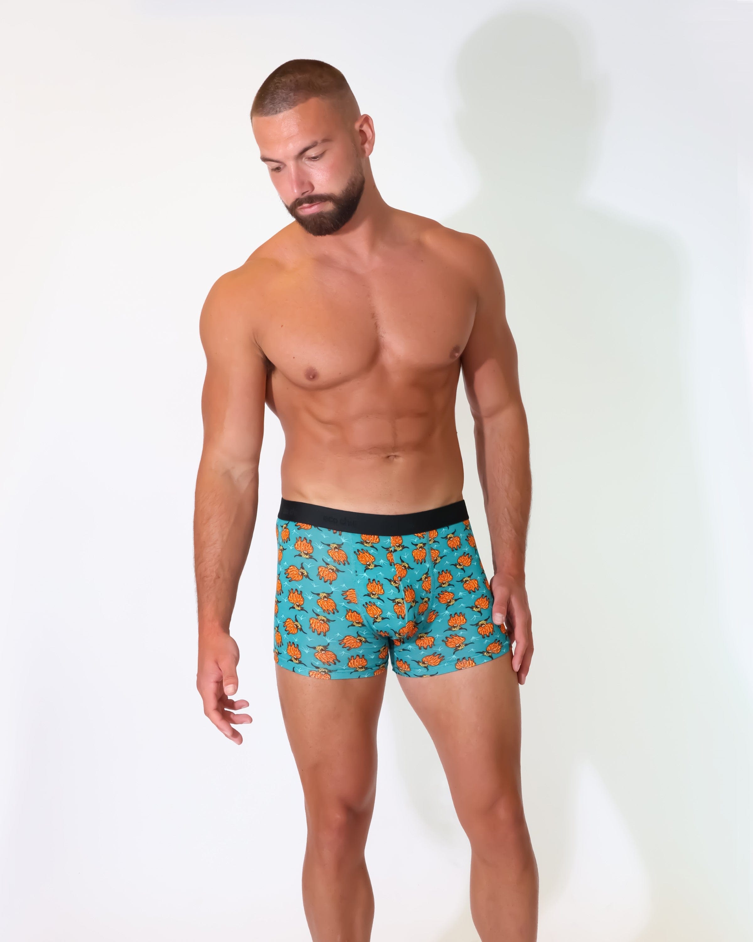 Eco Chic Retail Ltd Eco-Chic Eco Friendly Men's Bamboo Boxers Highland Cow