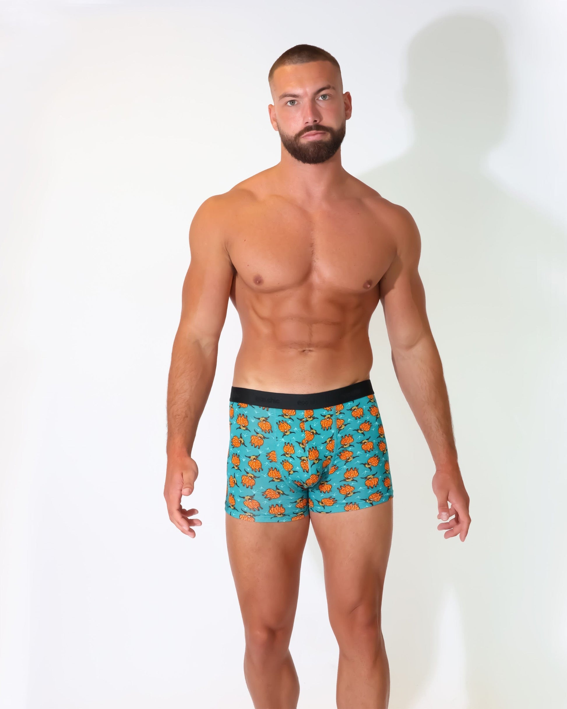 Eco Chic Retail Ltd Eco-Chic Eco Friendly Men's Bamboo Boxers Highland Cow