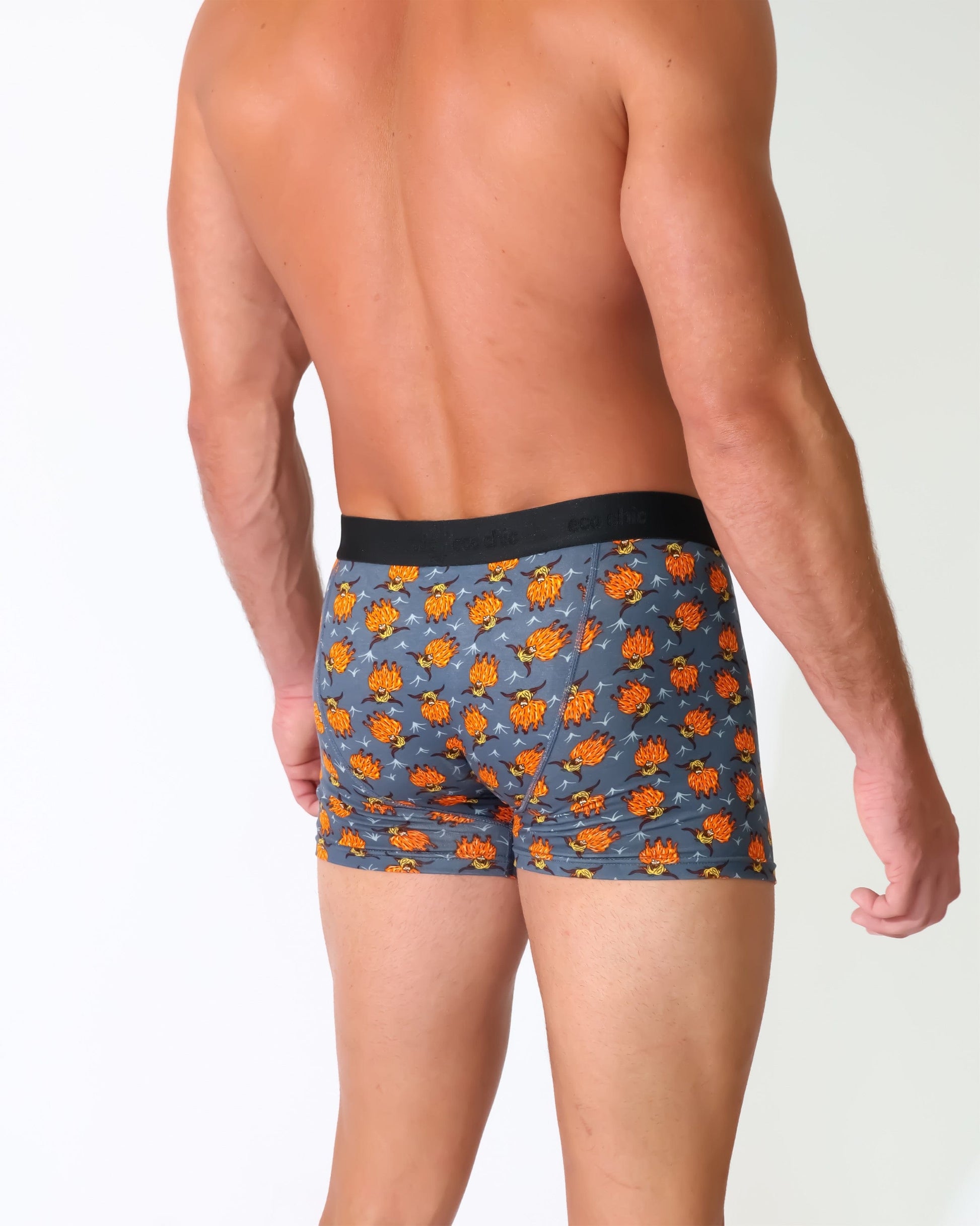 Eco Chic Retail Ltd Eco-Chic Eco Friendly Men's Bamboo Boxers Highland Cow