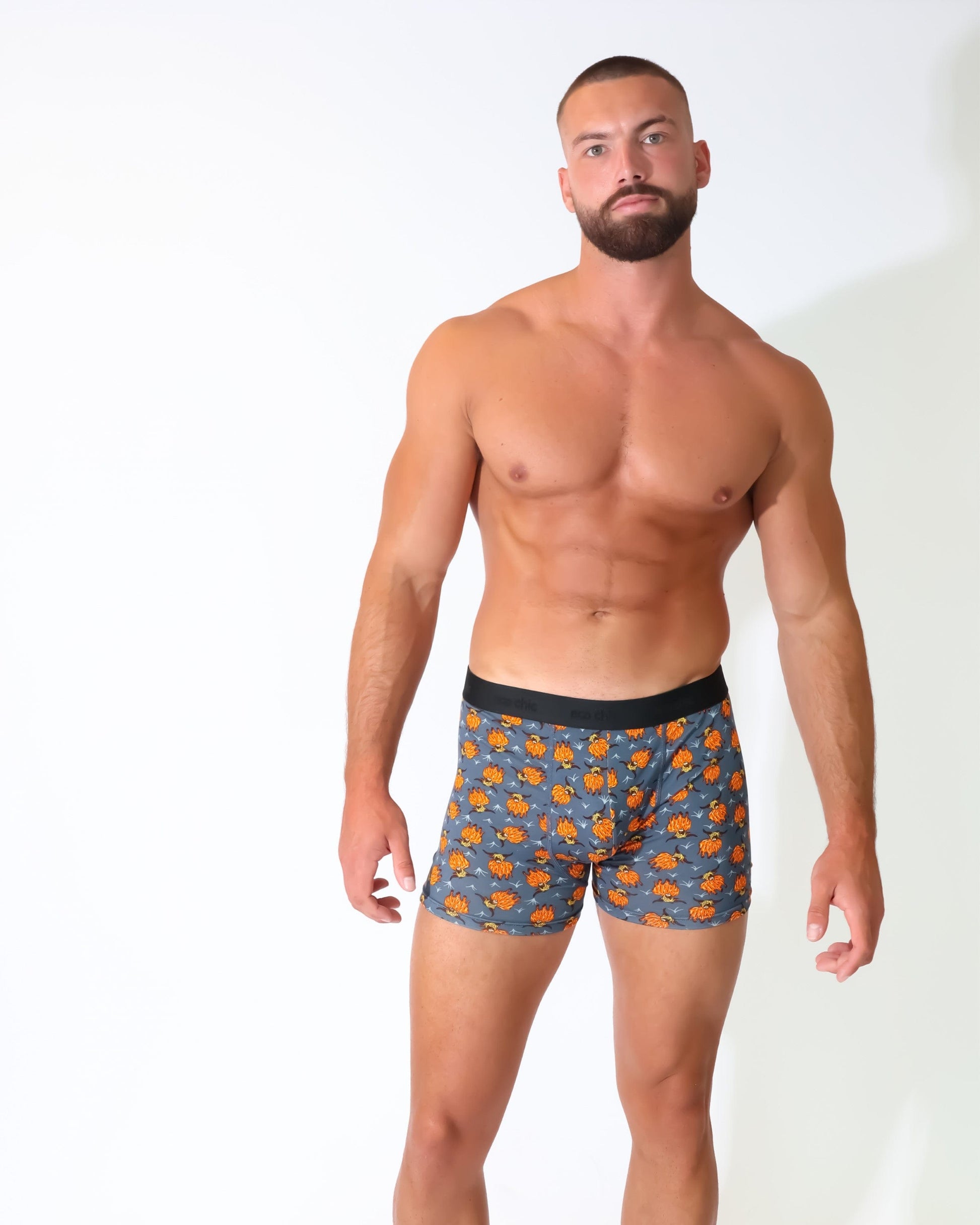 Eco Chic Retail Ltd Eco-Chic Eco Friendly Men's Bamboo Boxers Highland Cow