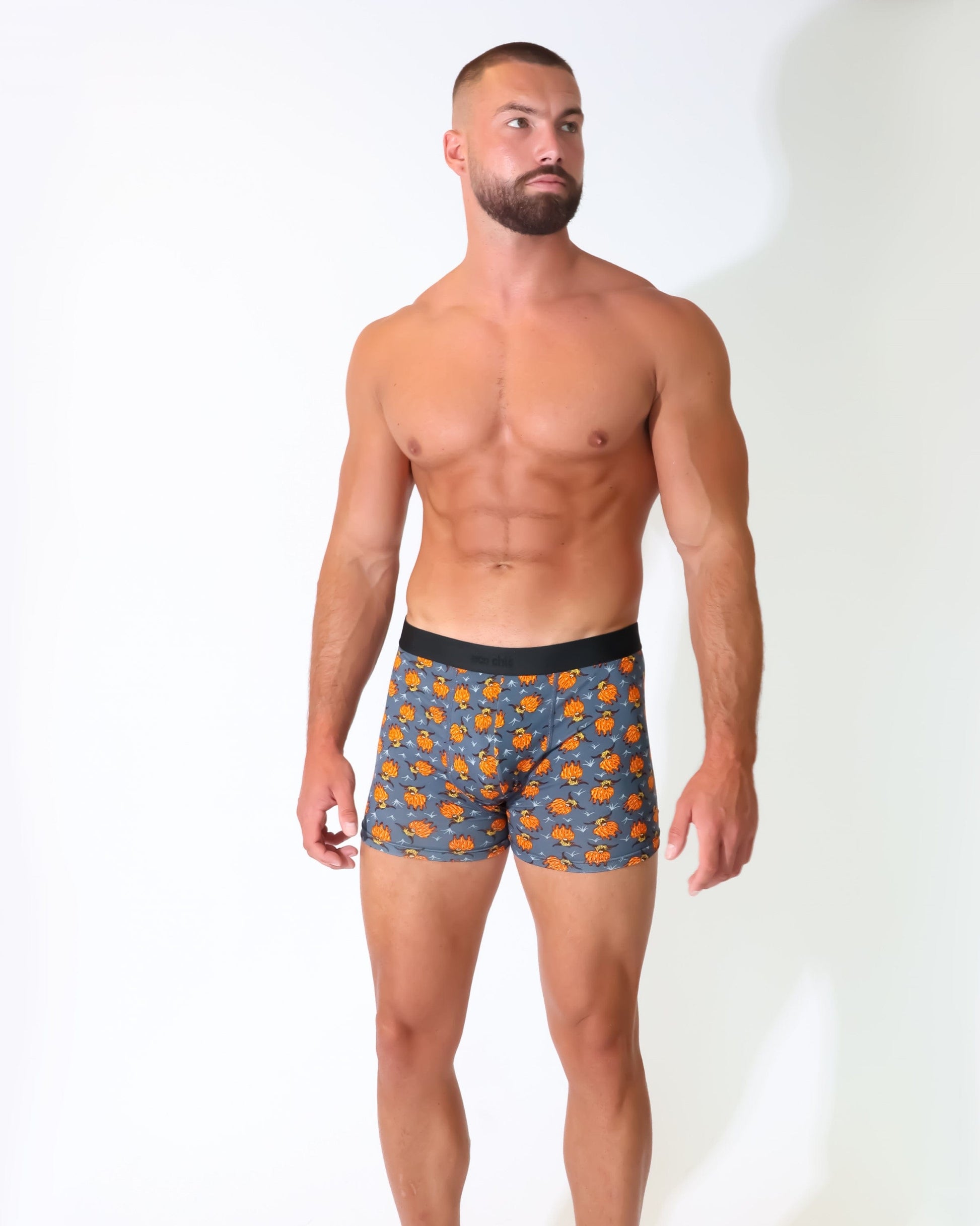Eco Chic Retail Ltd Eco-Chic Eco Friendly Men's Bamboo Boxers Highland Cow