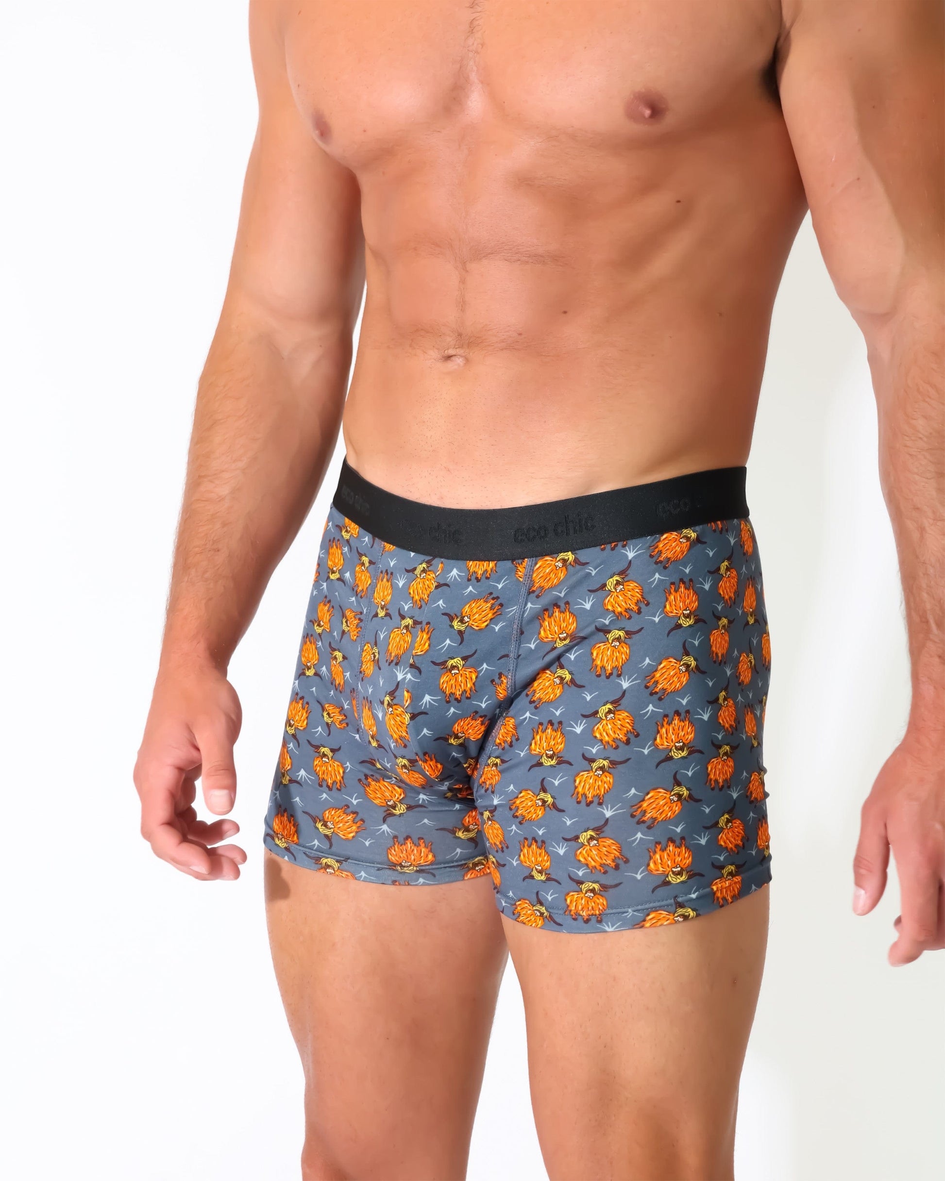 Eco Chic Retail Ltd Eco-Chic Eco Friendly Men's Bamboo Boxers Highland Cow