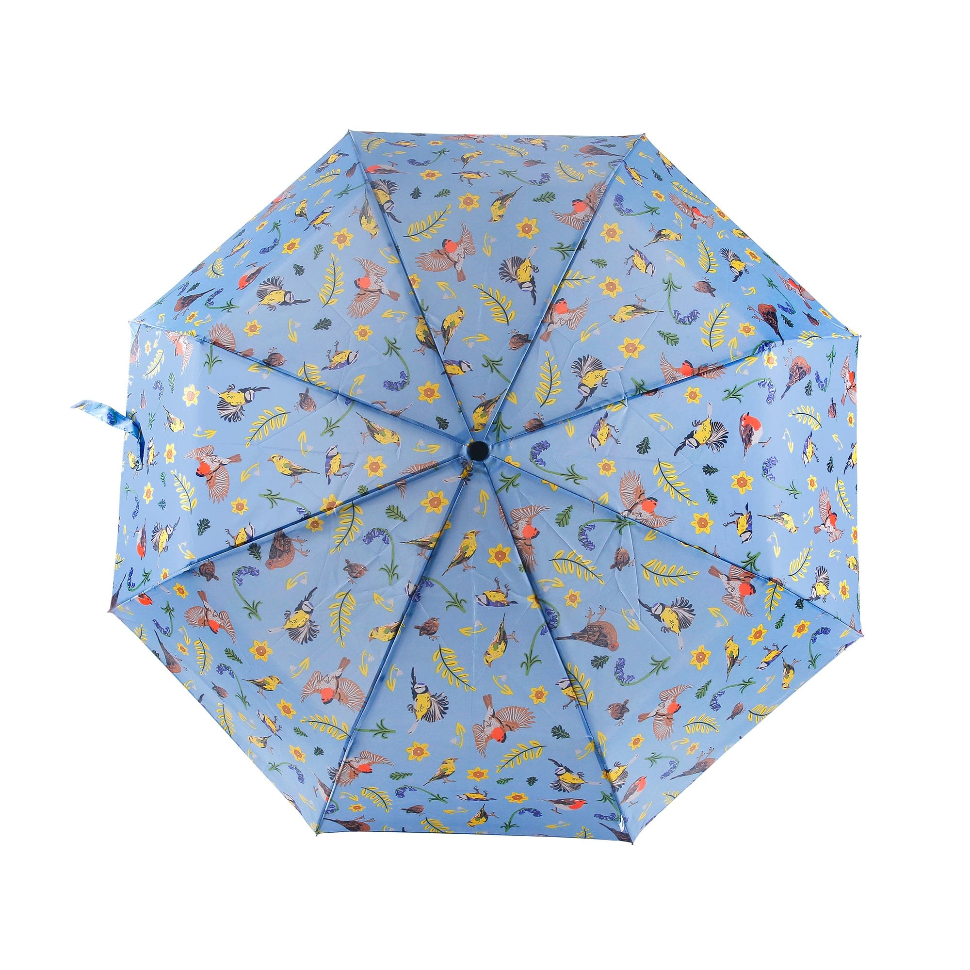 Eco Chic Eco Chic Folding Automatic Umbrella RSPB Birds