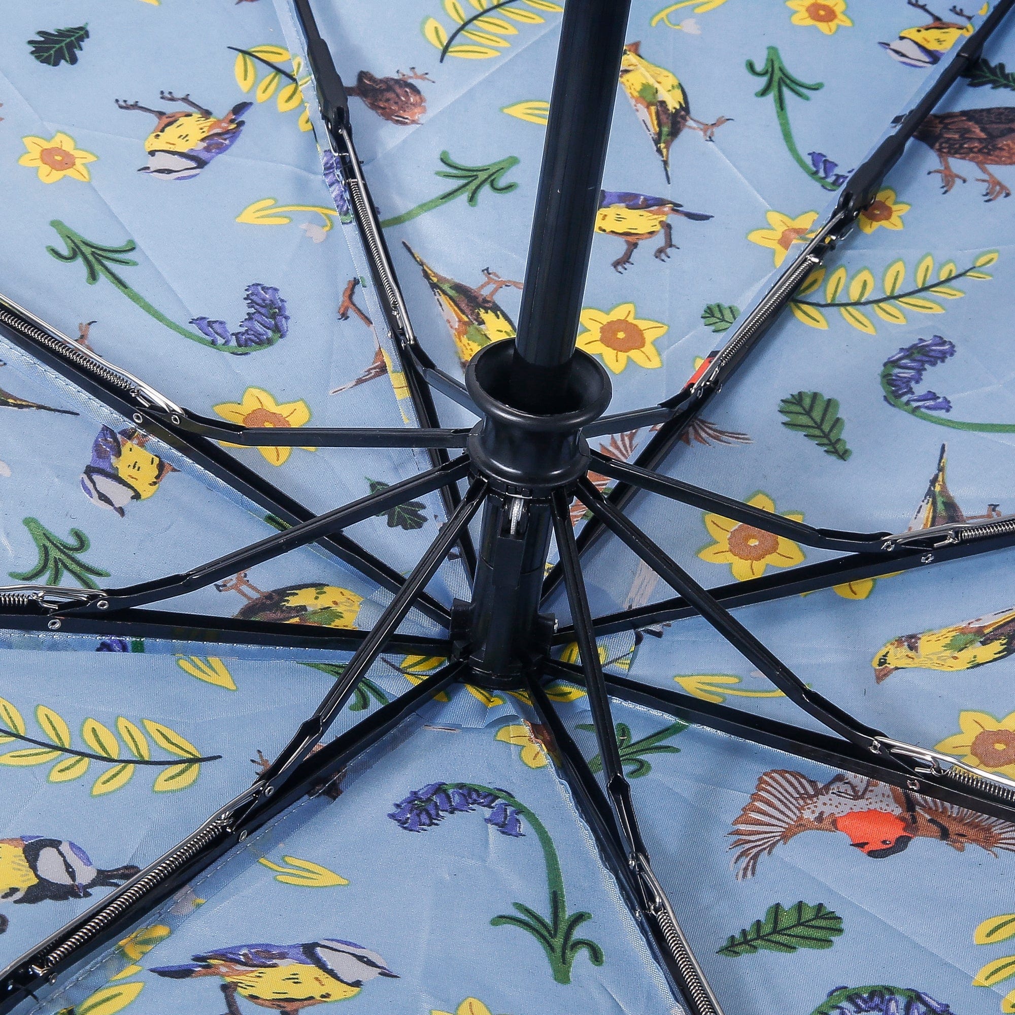 Eco Chic Eco Chic Folding Automatic Umbrella RSPB Birds