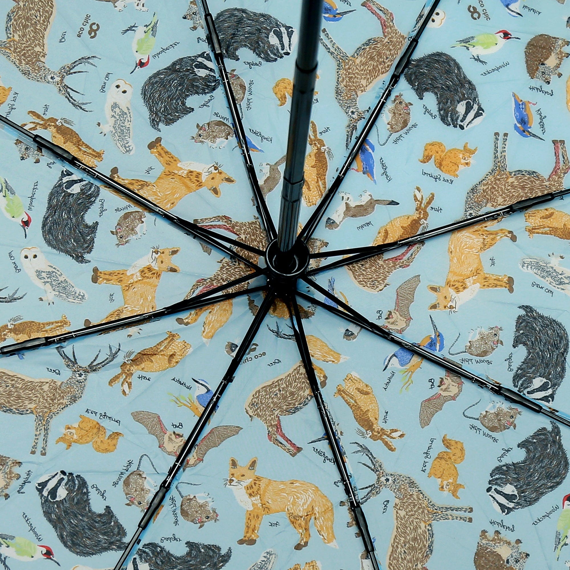 Eco Chic Eco Chic Folding Automatic Umbrella Woodland