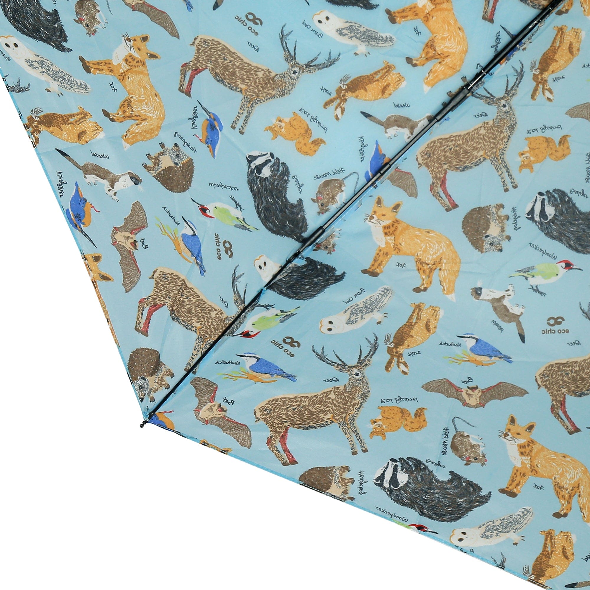 Eco Chic Eco Chic Folding Automatic Umbrella Woodland
