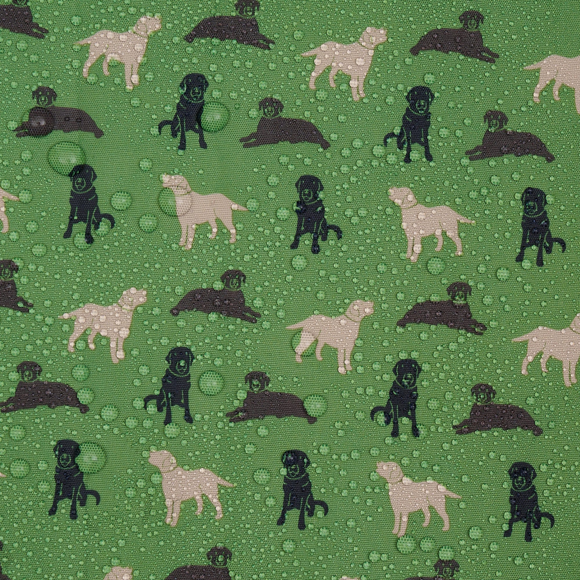 Eco Chic Green Eco Chic Lightweight Foldable Backpack Labradors
