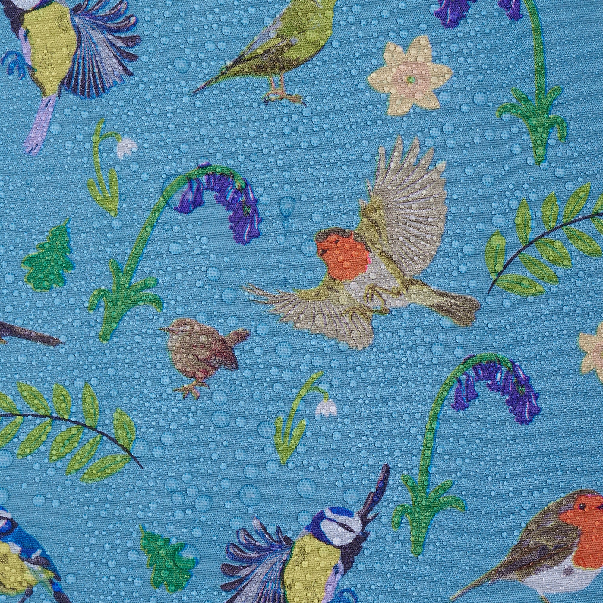 Eco Chic Eco Chic Lightweight Foldable Backpack RSPB Birds