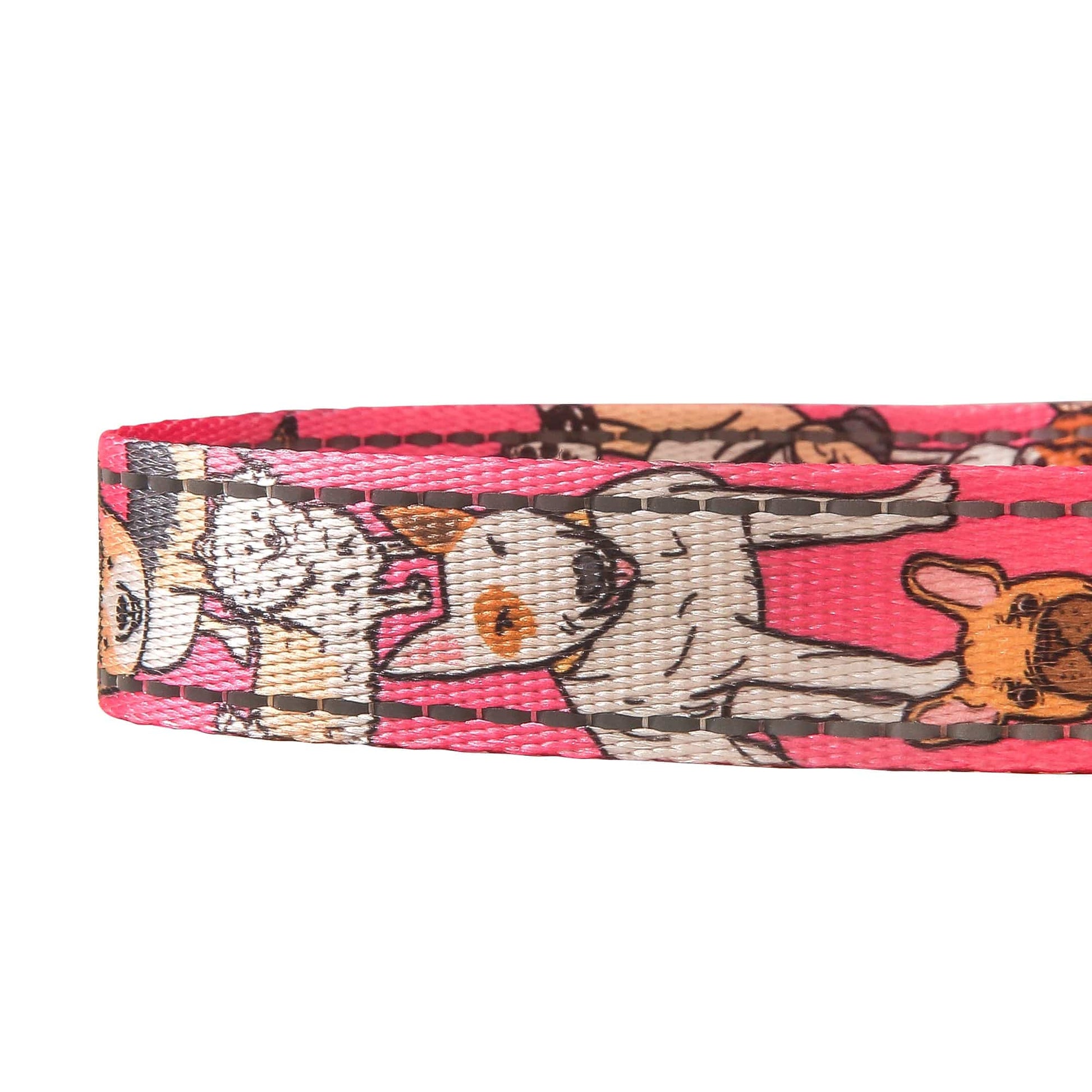 Eco Chic Eco Chic Recycled Dog Lead - Dogs Pink