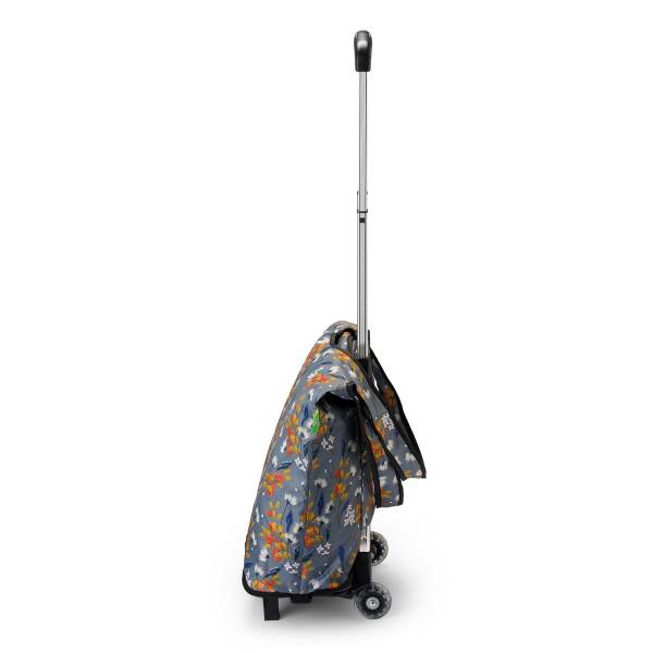 Trolley Bag