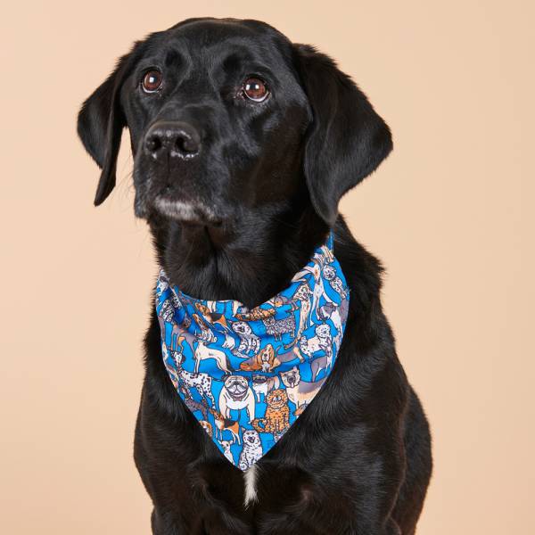 Dog Bandanas