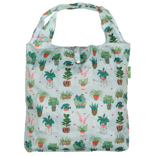 A80 Mint House Plant Shopper x2