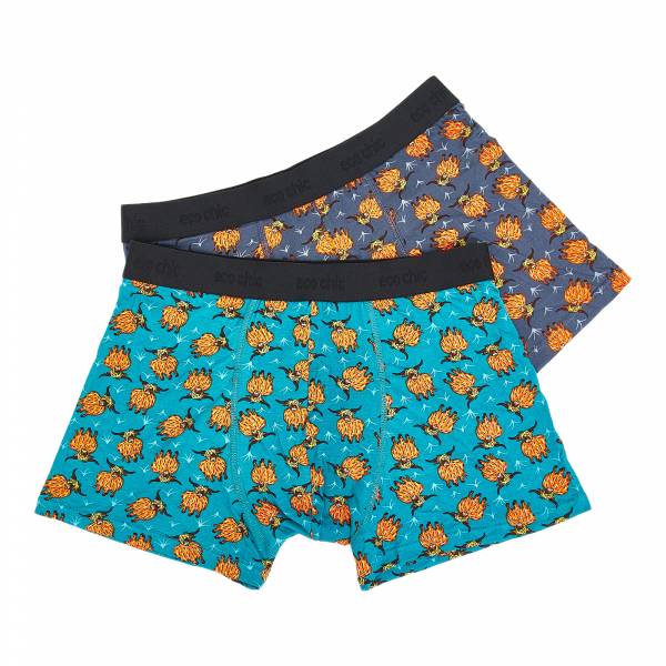 U02 Highland Cow Bamboo Underpant L x2